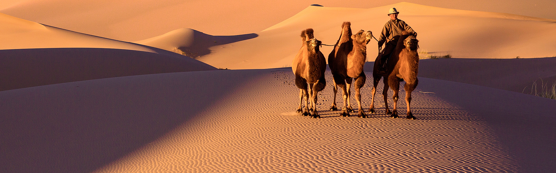 04-01-2021_1609743080611_1