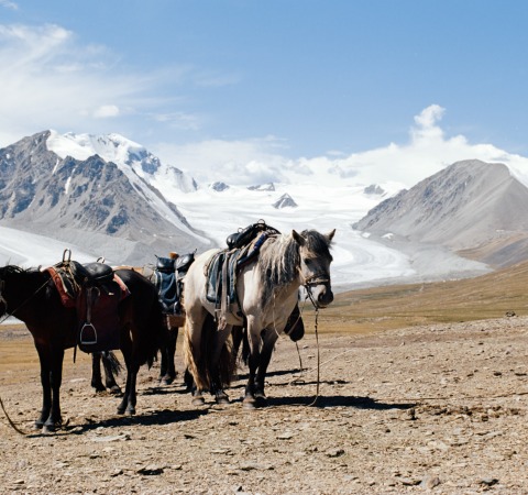 ALTAI TAVAN BOGD & WESTERN MONGOLIA