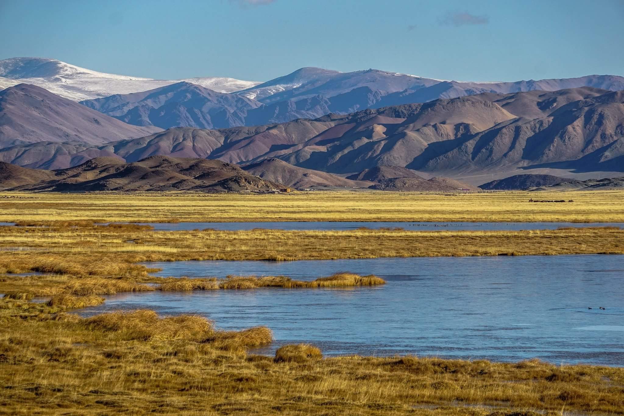 Text