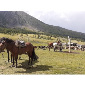  HORSEBACK RIDING & TREKKING IN ALTAI MONGOLIA