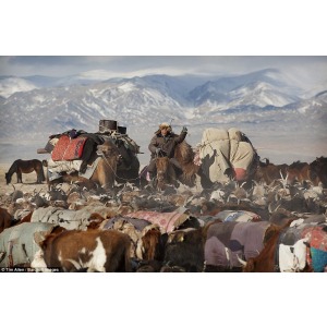MIGRATION TOUR WESTERN MONGOLIA