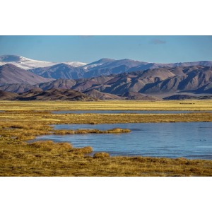 COMBINED WESTERN MONGOLIA TOUR