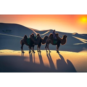  GOBI DESERT & CHINGGIS KHAN STATUE 