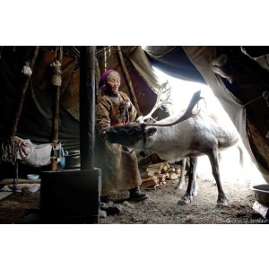  NORTHERN MONGOLIA & REINDEER HERDER NOMADS