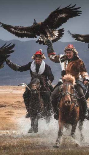 ⭐ TOP ADVENTURE TOURS