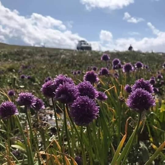  BUDGET TOUR - BACKPACKERS