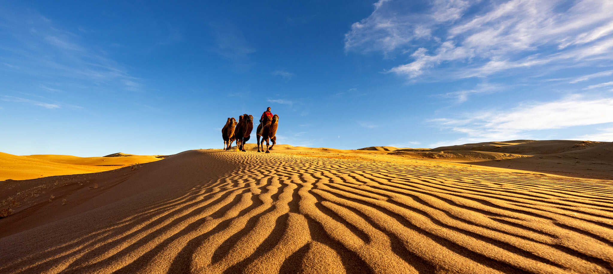 CENTRAL MONGOLIA, GOBI TOUR