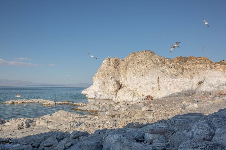 COMBINED TOUR WESTERN MONGOLIA